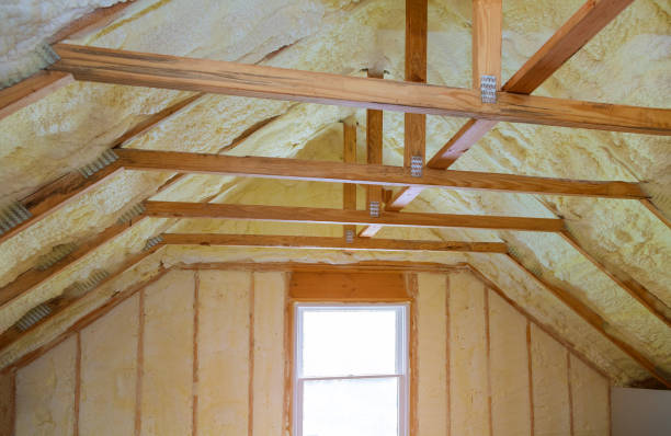 Professional Insulation Contractor in Charlotte, TX